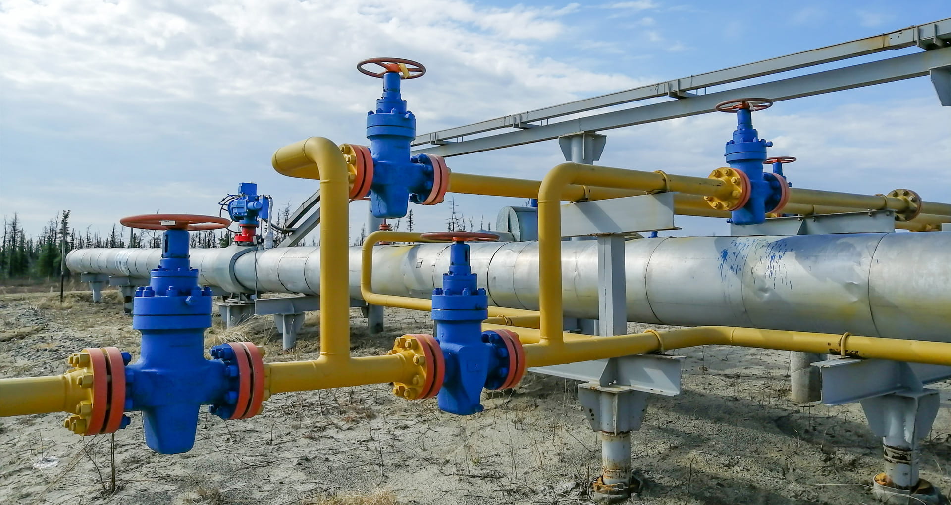 TriStar Producer Team